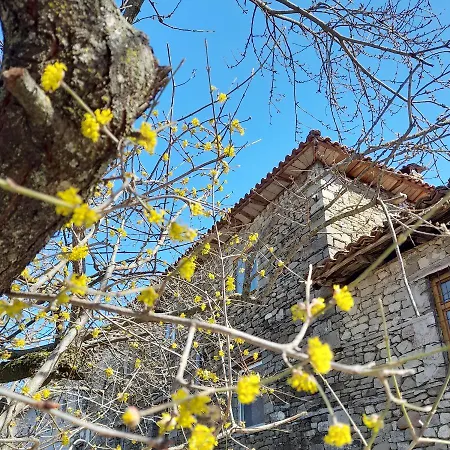 Guest house Bujtina Tusha