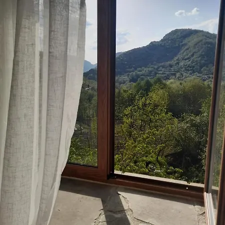Bujtina Tusha Guest house *