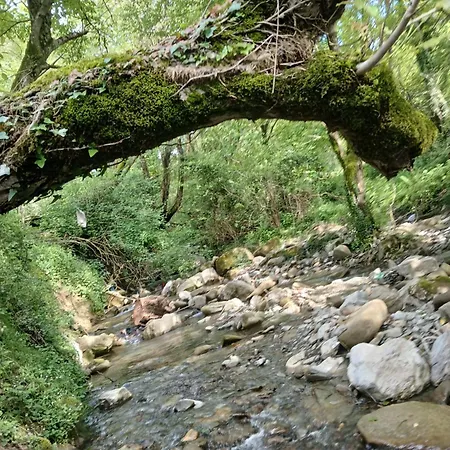 Bujtina Tusha 3* Priska e Madhe