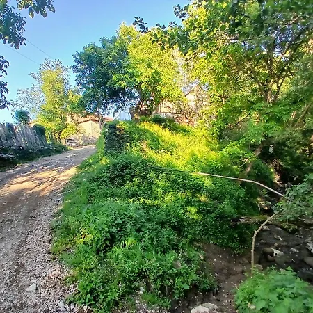 招待所 Bujtina Tusha Priska e Madhe