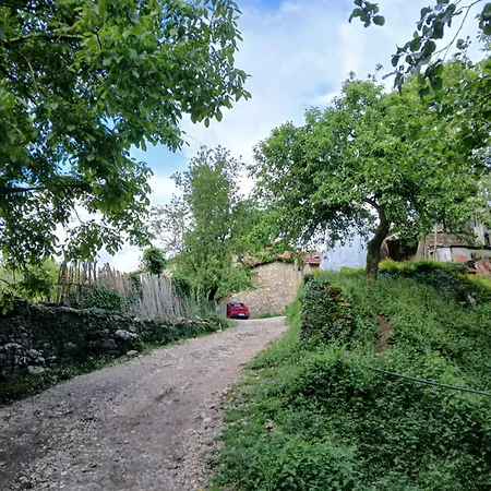 Bujtina Tusha