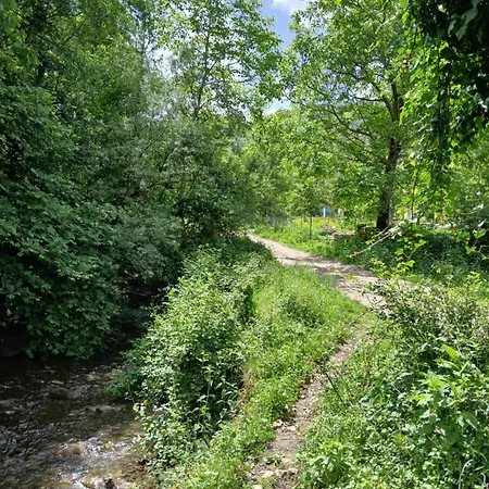 Bujtina Tusha *