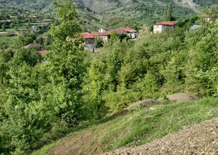 Bujtina Tusha Konukevi 3*