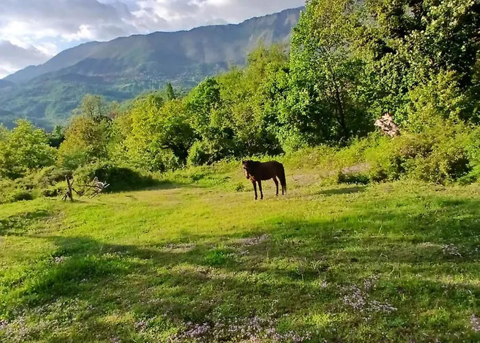 Konukevi Bujtina Tusha 3*