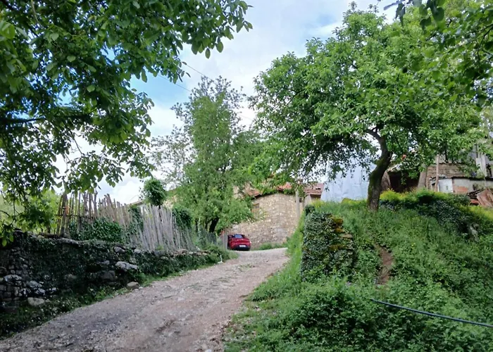 Bujtina Tusha