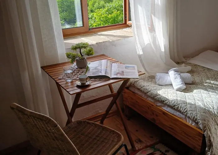 Bujtina Tusha Pensión Priska e Madhe