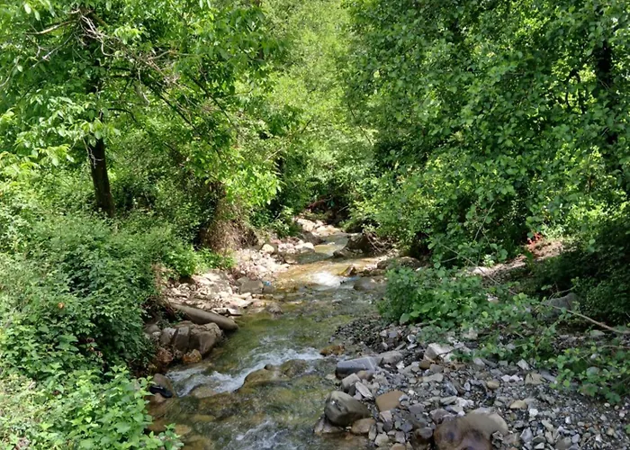 Bujtina Tusha Priska e Madhe
