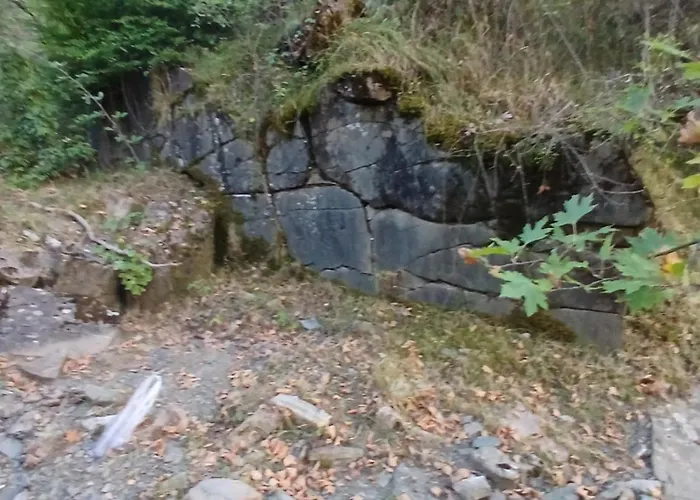 Bujtina Tusha 3*