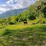 Pensión Bujtina Tusha 3*