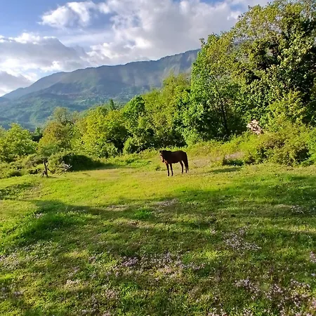 Penzion Bujtina Tusha *