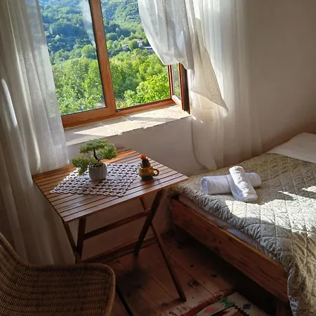 Bujtina Tusha