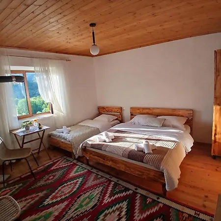 Bujtina Tusha Penzion