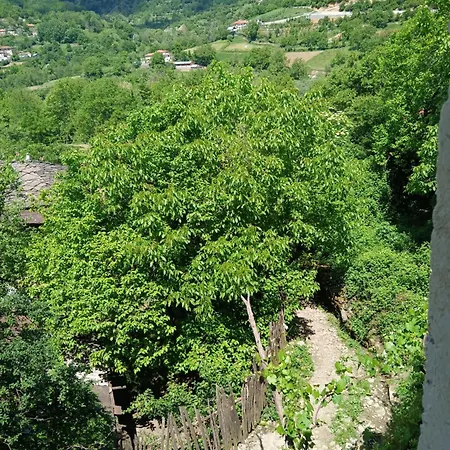 Bujtina Tusha 3* Priska e Madhe