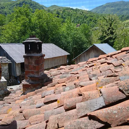 Bujtina Tusha Penzion Priska e Madhe