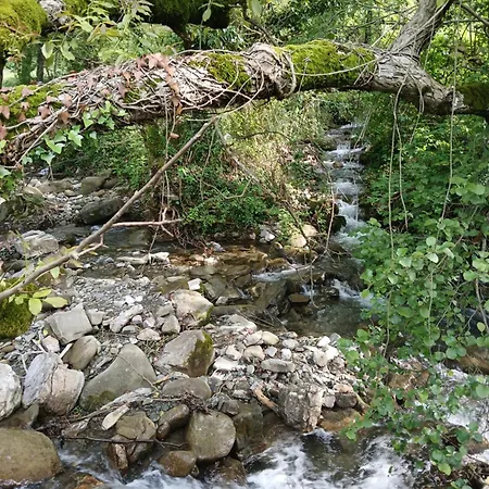 Penzion Bujtina Tusha