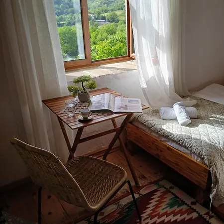 Bujtina Tusha Penzion Tirana