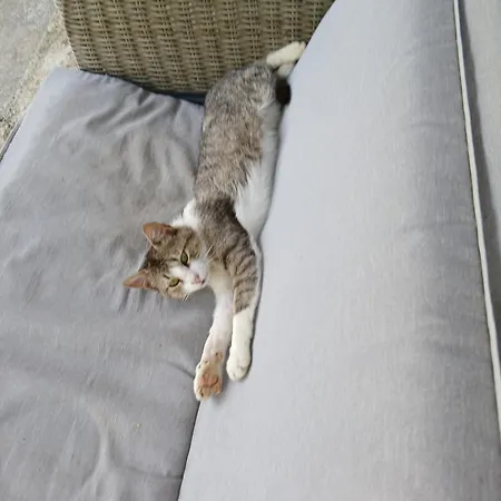 Bujtina Tusha Priska e Madhe