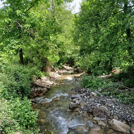 Bujtina Tusha Priska e Madhe
