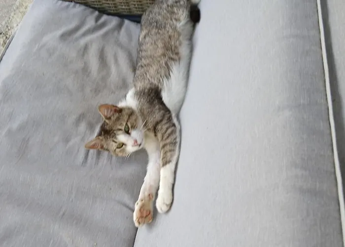 Bujtina Tusha Priska e Madhe